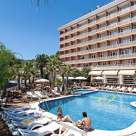 Hotel Palmira Cormoran-3