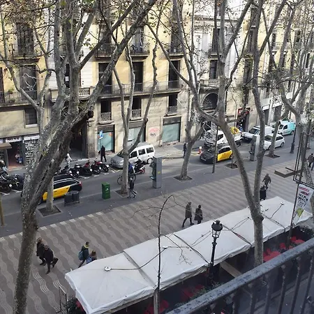 Hostal Mimi Las Ramblas-3