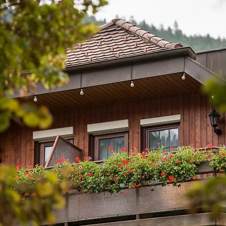 Hotel Restaurant Alte Linde-2