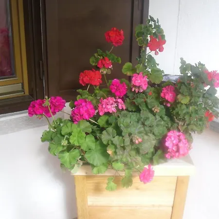 Garni Margherita-3