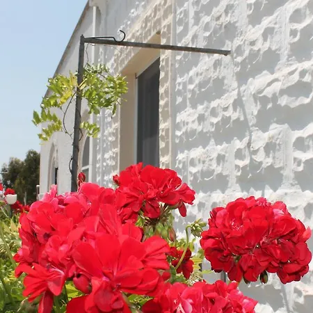 B&B Stella Marina-3
