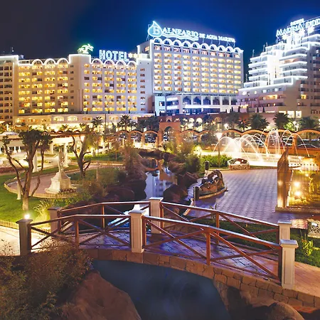 Magic Inn-2