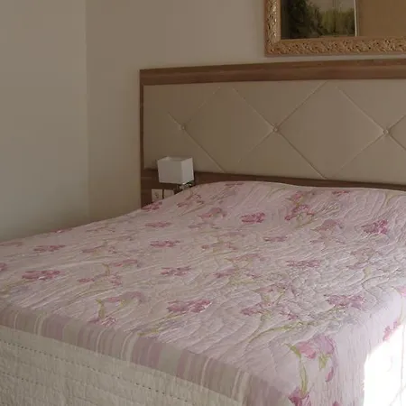 Hotel Pikassaria-2