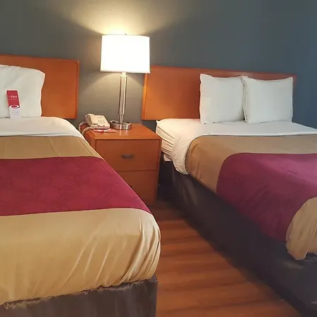 Econo Lodge Inn & Suites Johnson City-3