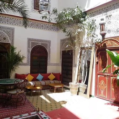Riad Amiris-3