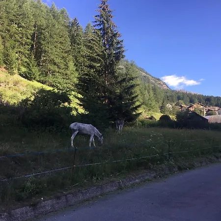 Hotel Camping Grivola-3