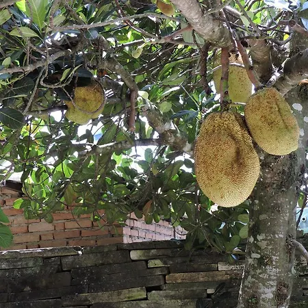 Pousada Casa da Serra-3