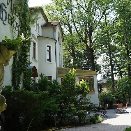 Hotel Villa Herzog-2