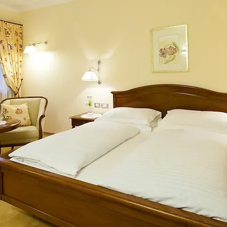 Hotel Aster-3