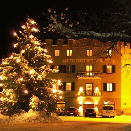 Hotel Gasthof Gruener Baum-3