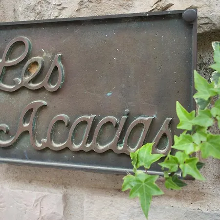 Hotel Les Acacias-3