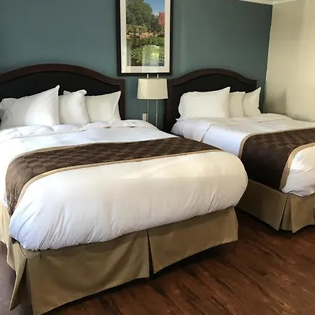 Rex Motel-3