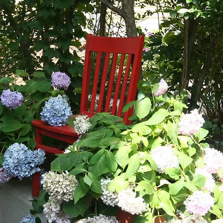Hydrangea House Inn-3