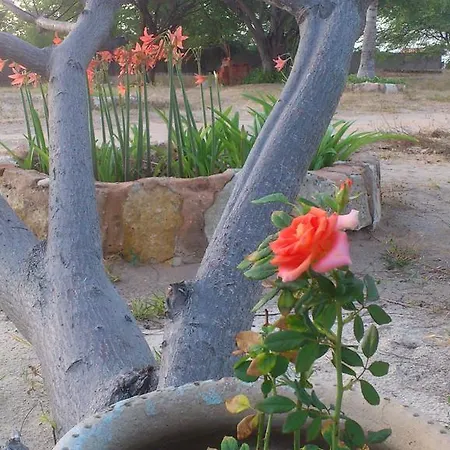 Pousada Mae Natureza Icapui-3