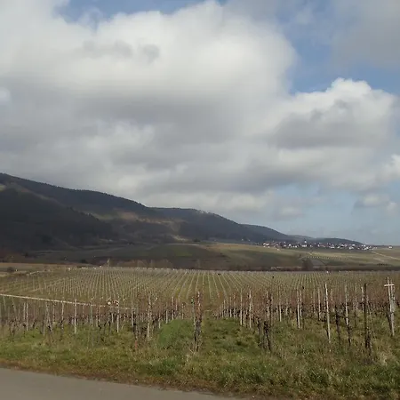 Weinhotel Kienle-2