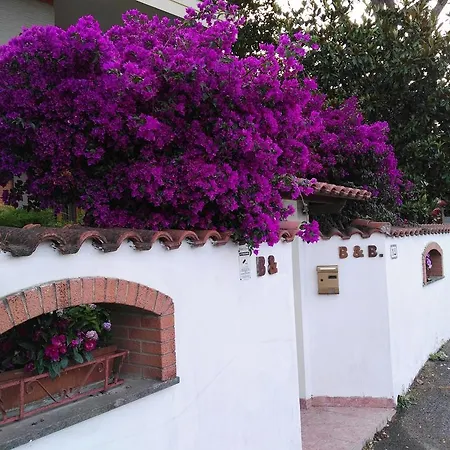 B&B Domus Gratiae-2