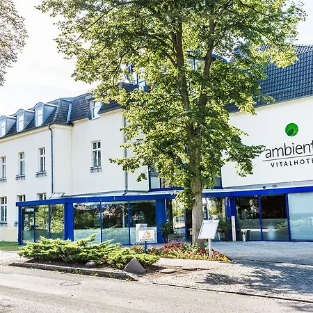 Ringhotel VITALHOTEL ambiente-3