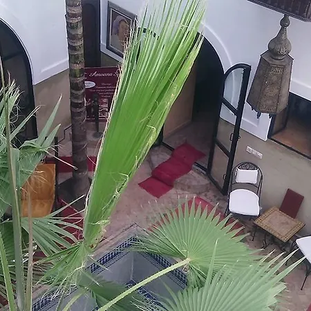 Dar Narjis-3