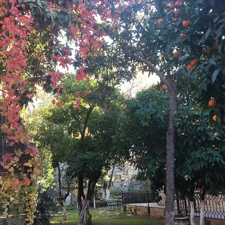 Citrus Garden Hotel-2