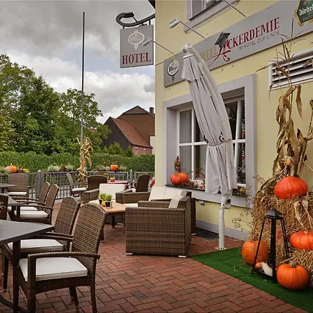 Hotel Zur Linde-2