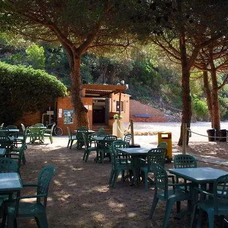 Pola Camping-2