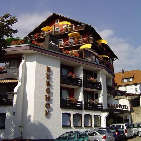 Panoramahotel Berghof-3