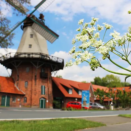 Zur Querensteder Mühle-3