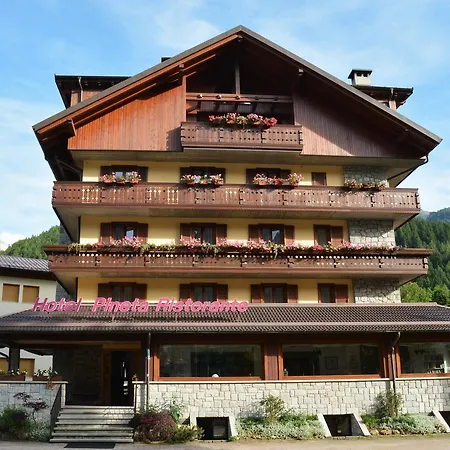 Hotel Pineta-2