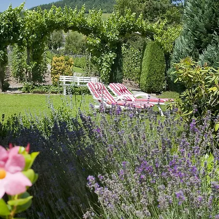 Hotel Springiersbacher-Hof-3