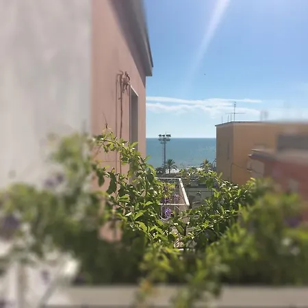 B&B Acqua di Sale-3