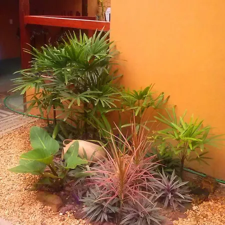 Pousada Vila Alter-2