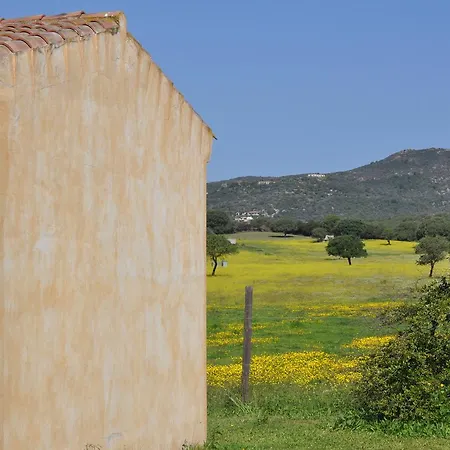 B&B Pubulos-2