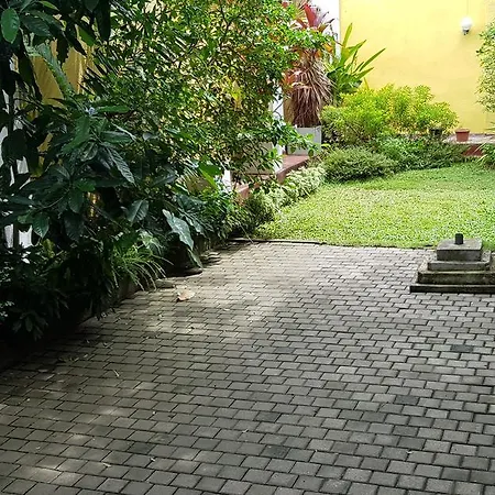 The Canes Boutique Hotel-2