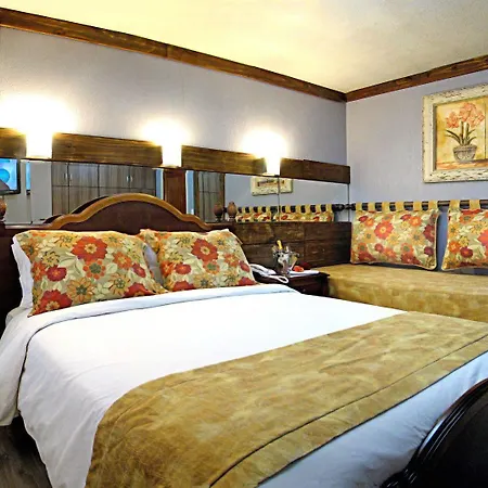 Clinipel Hotel - Emporio & Spa-3