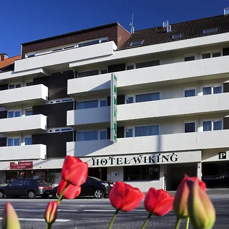 Hotel Wiking-3