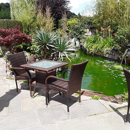 Le Jardin du Thé-2