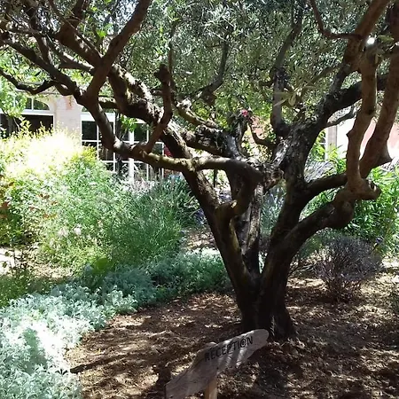 Les Jardins de l'Ermitage-2
