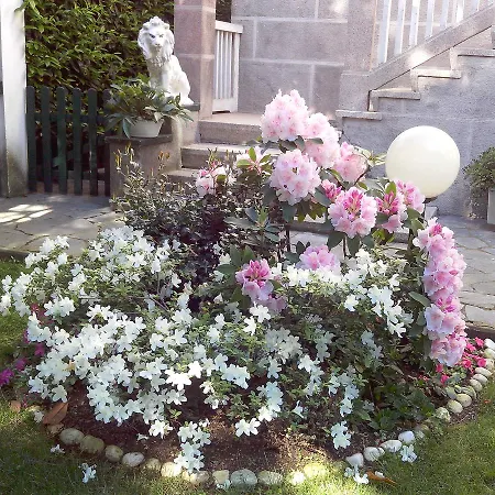 B&B Le Magnolie-3