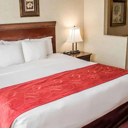 Comfort Suites Lake George - Queensbury-3