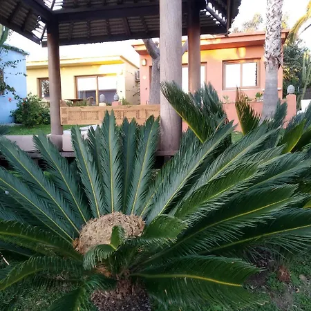 Beach Hotel Dos Mares-2
