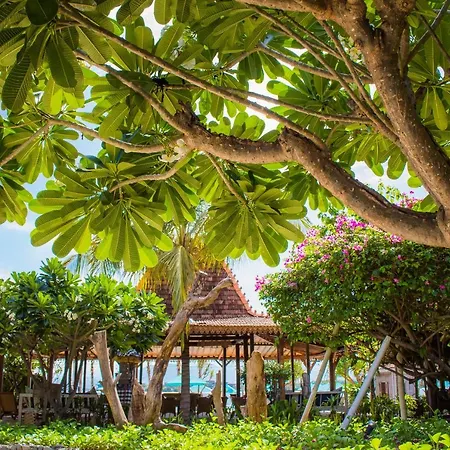 Sunrise Resort-3