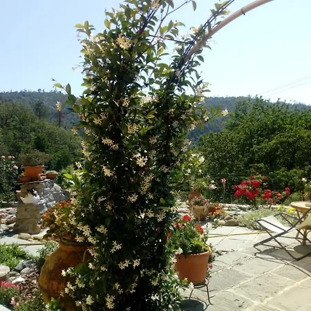 Affittacamere Graziella-3