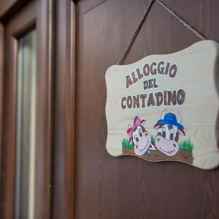 Alloggio del contadino-3