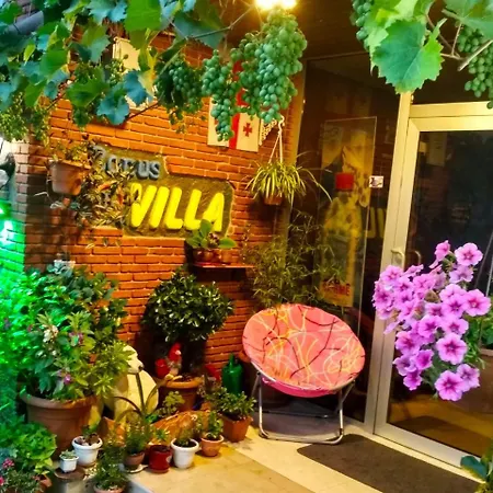 Hotel Villa On Bachana 10-2