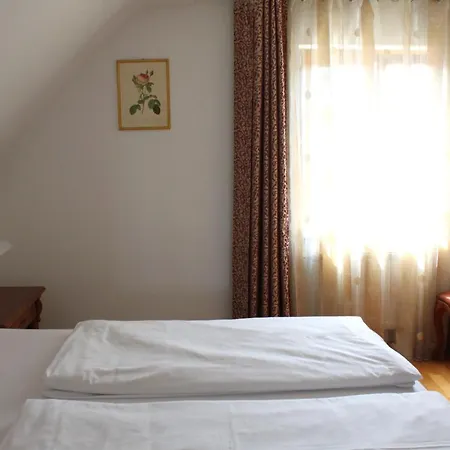 Hotel Viktoria-2