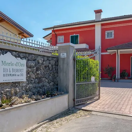 Merlo d'Oro-3