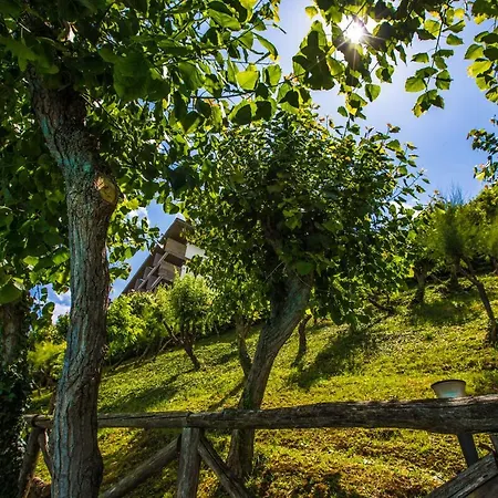 Albergo Capo Est-3