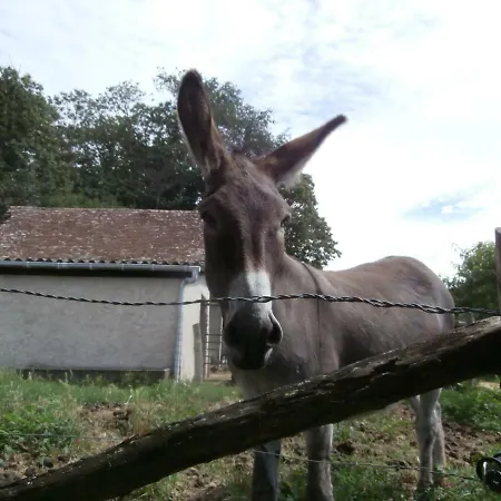 Bois Gaillard-3