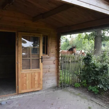 Groepsboerderij 20 pers.-2