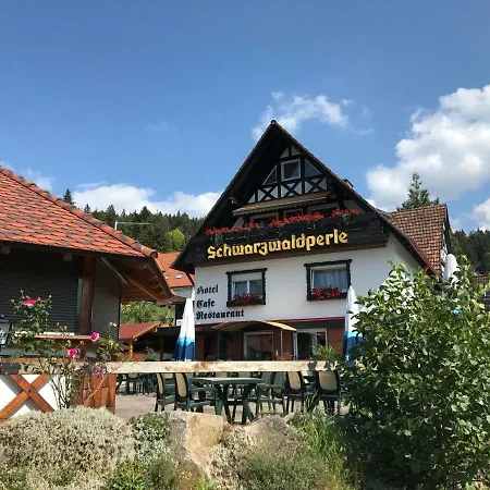 Hotel-Berggasthof Schwarzwaldperle-2